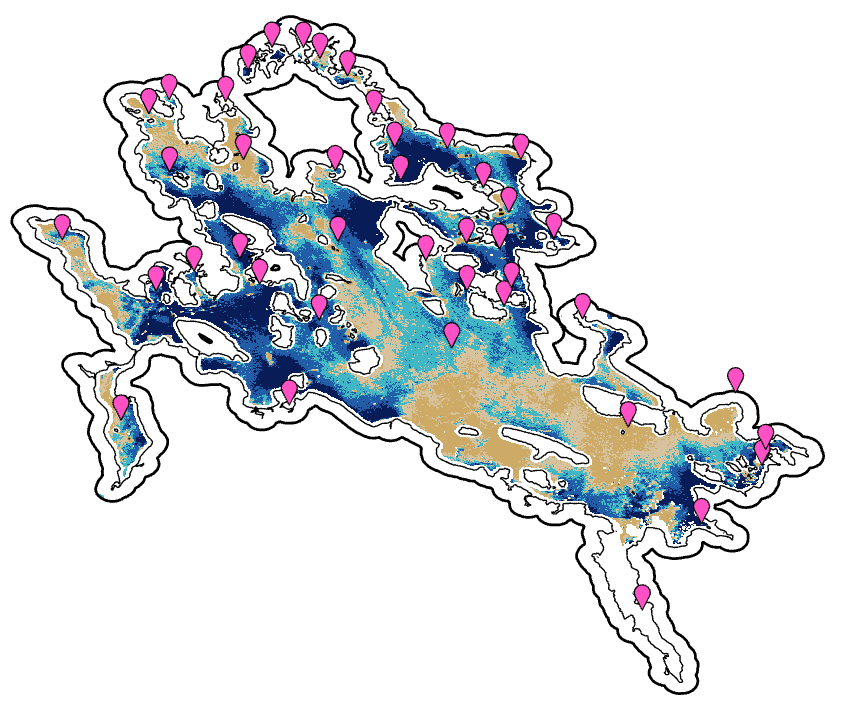 A map of Lake Winnipesaukee showing water turbidity with darker blues meaning less turbid and sand colors meaning more turbid. The pink pins indiciate loon nest locations
