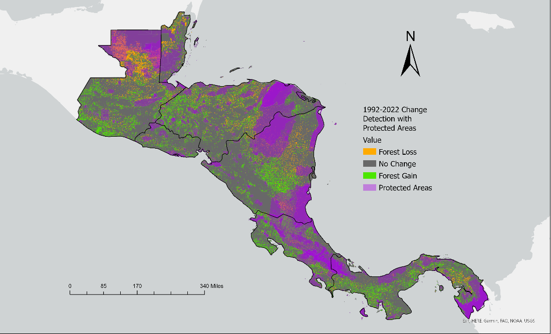 A map of Central America with green showing areas of forest growth and yellow showing areas of forest loss from 1992 to 2022, and purple showing protected areas